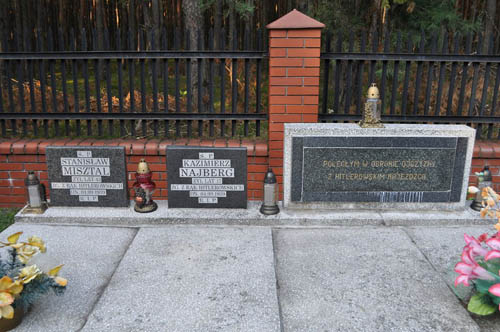 Polish War Cemetery Lelów #2