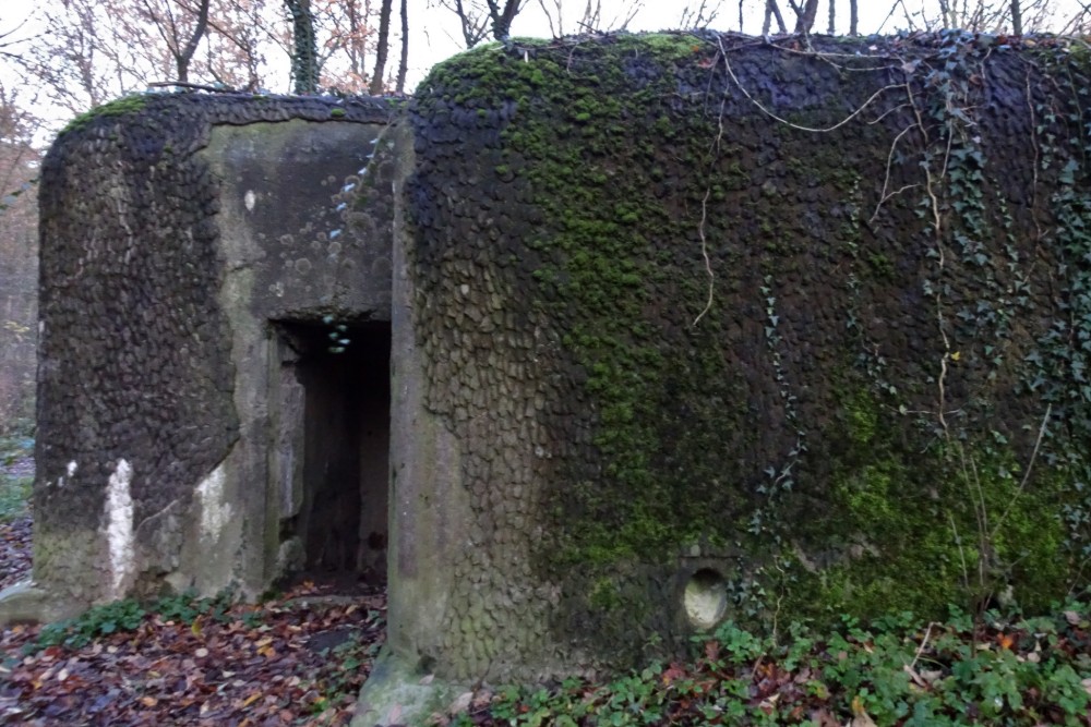 Bunker A22 Bis Oelegem #1