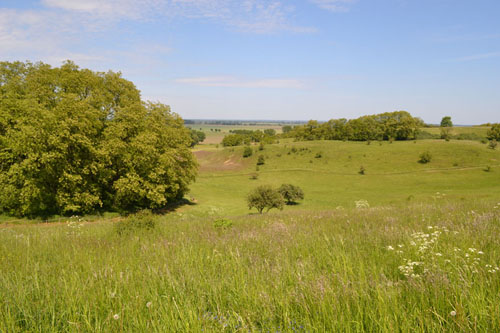 Hill-Ridge Seelow Heights #3