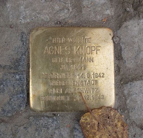 Stolpersteine Paulsborner Strae 1 #3