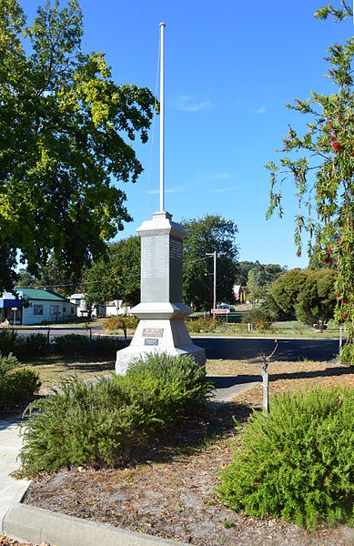 War Memorial Merino #1