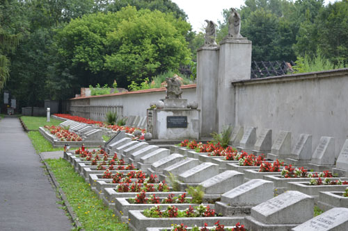 Pools-Duitse Oorlogsbegraafplaats Nr. 388 (Rakowicki) #2