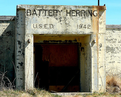 Battery Herring #1