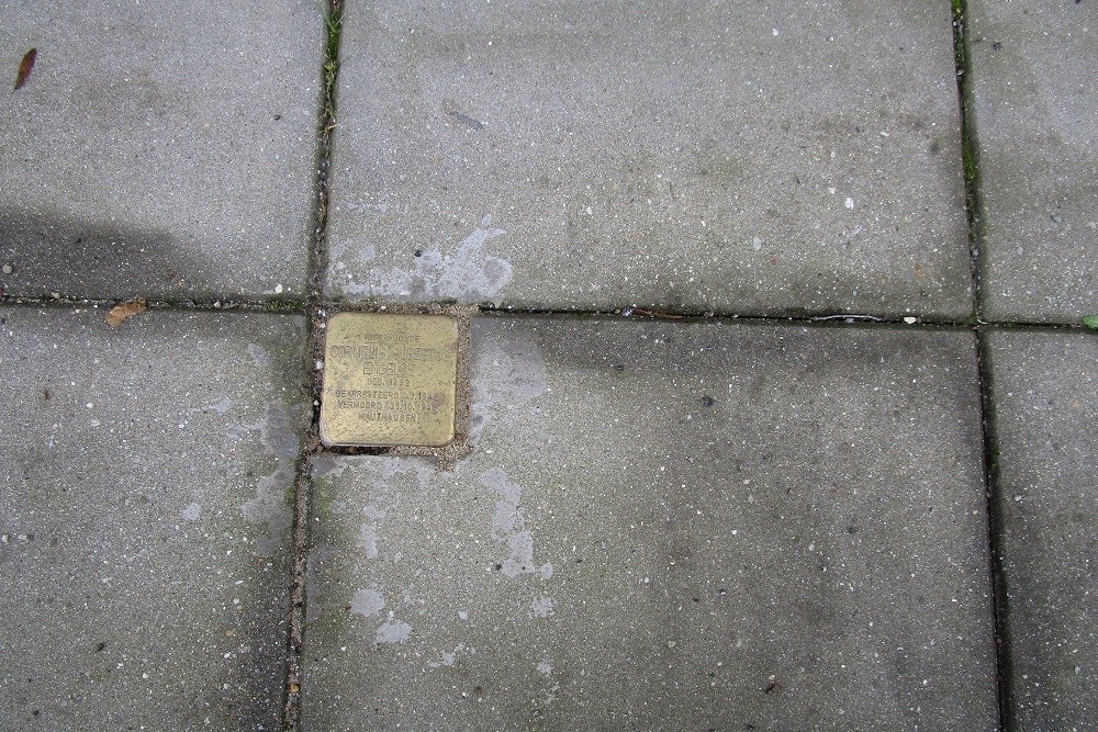 Stumbling Stone IJsseldijk 338-340 #1