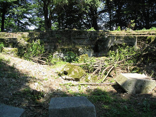 Festung Przemysl - Artillery Fort XVa 