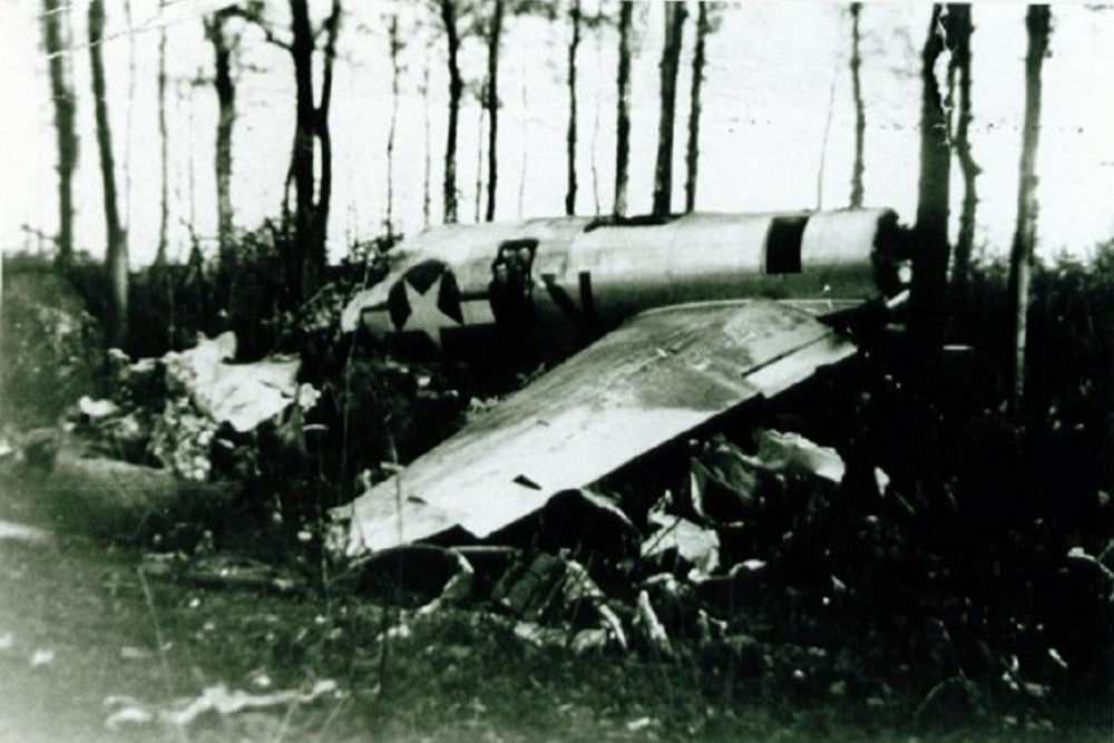 Crash Site B17G-55-DL, #44-6512 #5