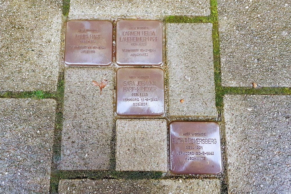 Stolpersteine Plantage Badlaan 15 l #1