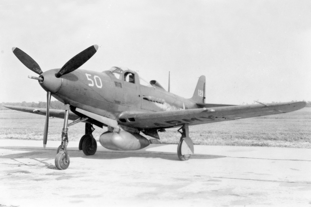 Crash Site P-39D-BE Airacobra 41-7104 #1