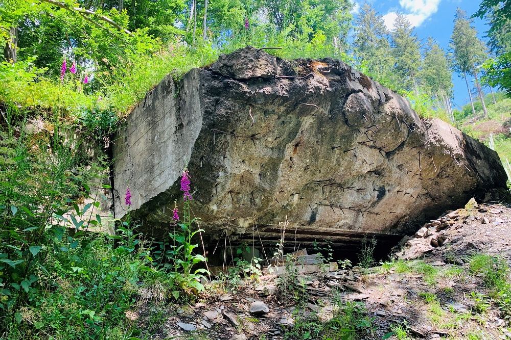 Remains Bunker 118 Hürtgenwald