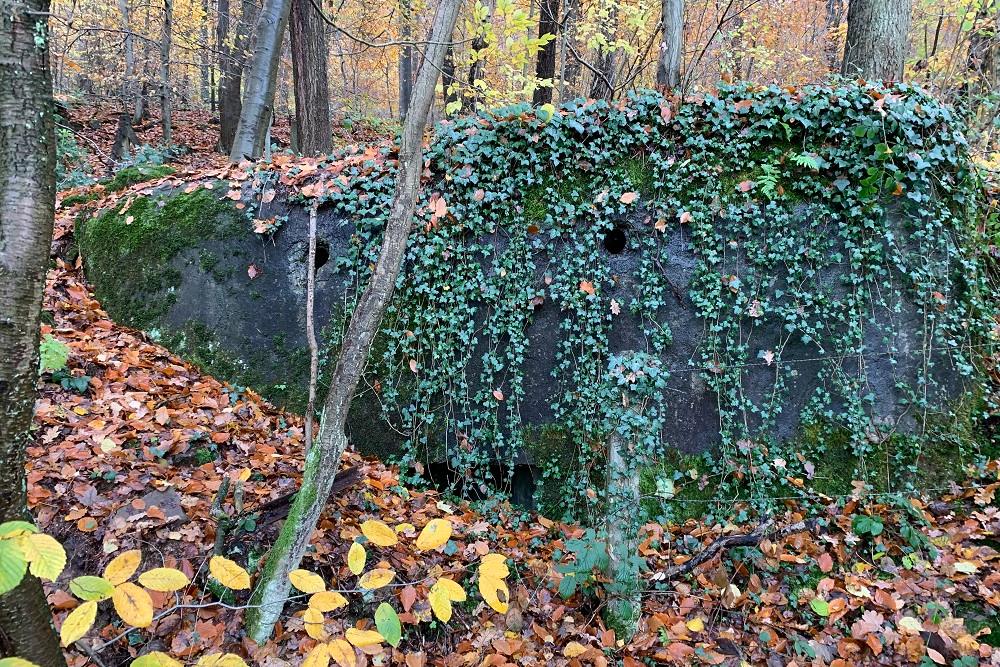 Bunker BV 23 Pepinster #2