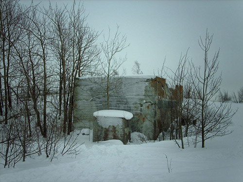 Finish Anti-Aircraft Battery Harakka #1