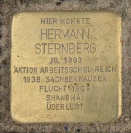 Stumbling Stones Dohrmannstrae 1