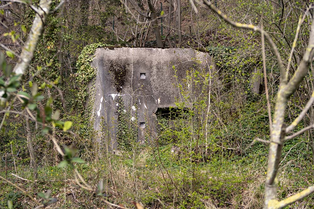 Verdedigingsbunker MN31 #2