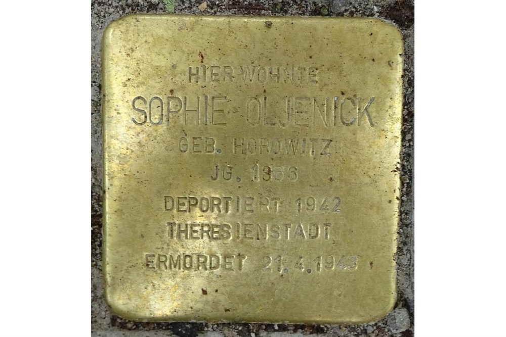 Stumbling Stones Bornstraße 16 #2
