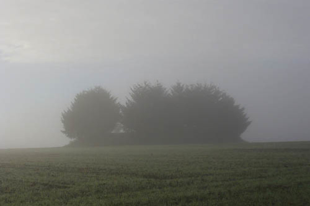 Westwall - Restant Bunker Ockfen #1