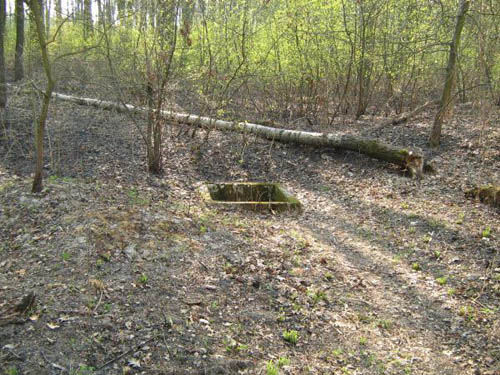 Stalin Line - Remains Casemate No. 451 #2