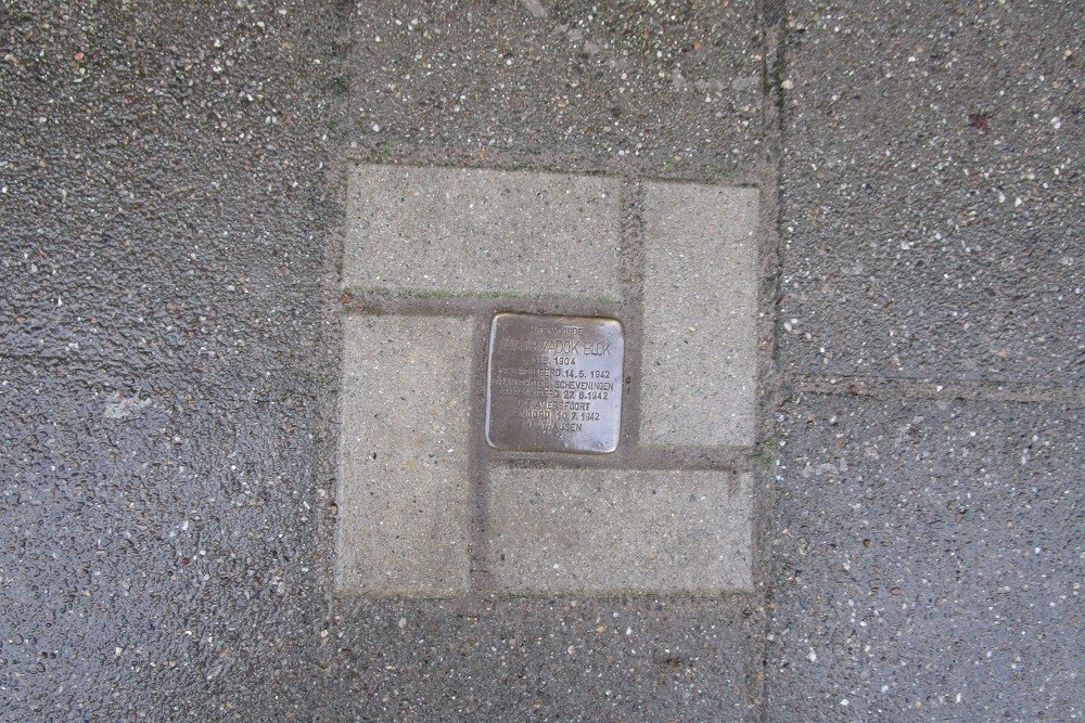 Stolperstein Anna Paulownastraat 81