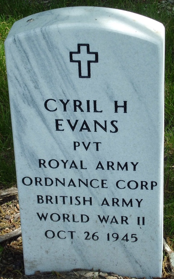 Commonwealth War Grave Fort Sheridan Cemetery #1