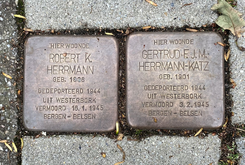 Stolpersteine Van Montfoortlaan 11 #1