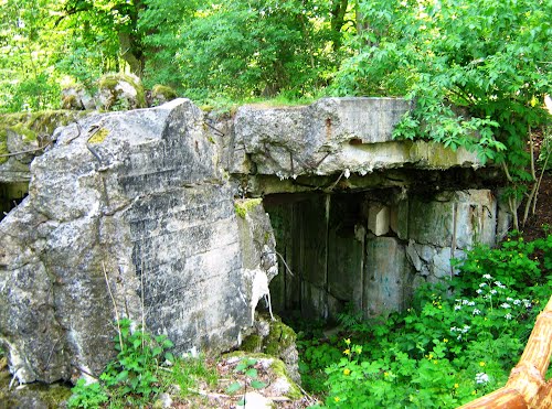 Pommernstellung - Restant Bunker Golce (B) #1