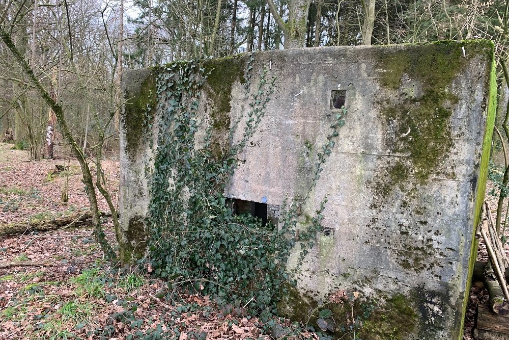Bunker C - Position Avance Grunhaut #2
