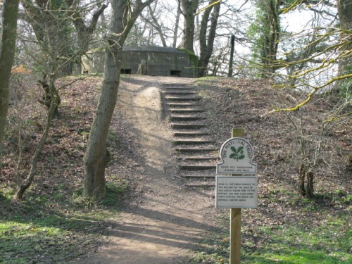 Bunker Arlington #2