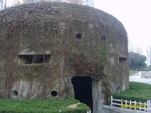 Chinese Casemate Wuhan #2