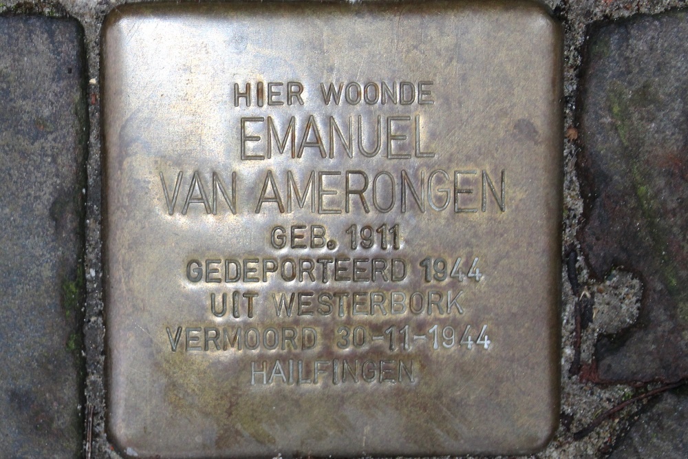 Stolpersteine Kleverparkweg 75 #4