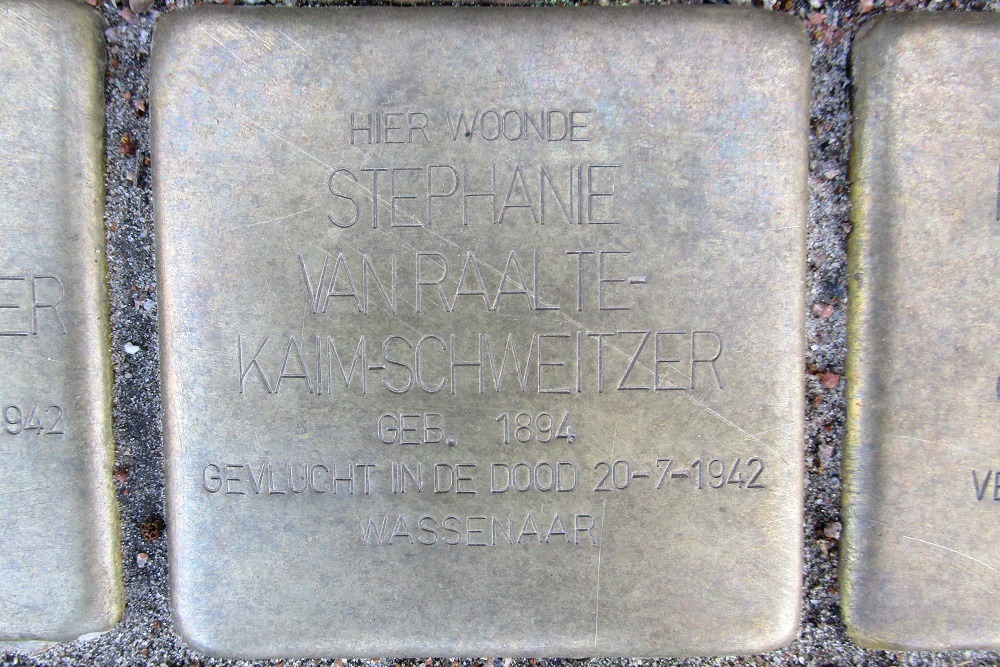 Stolpersteine Wittenburgerweg 64 #3