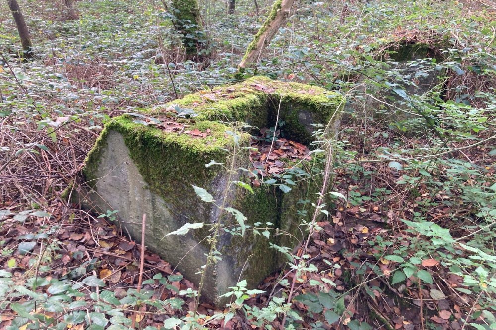 Remains Rundbogenhalle Sudlager Fliegerhorst Venlo #2