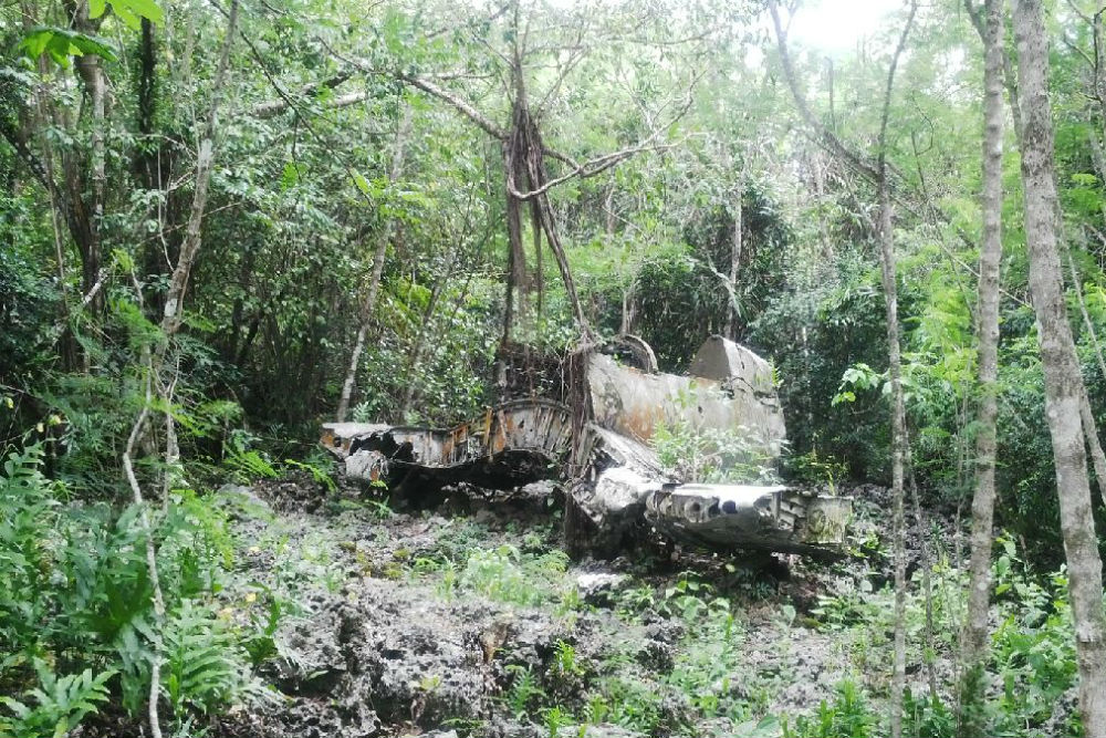 Crash Site & Remains Marine F4U Corsair #1