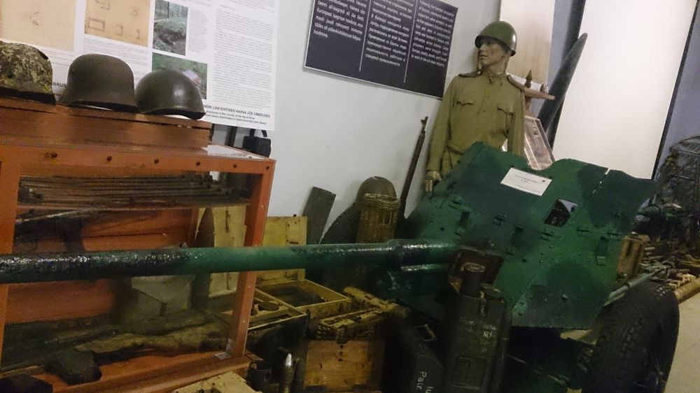Museum of the Blue Hills (Sinimäed) #4