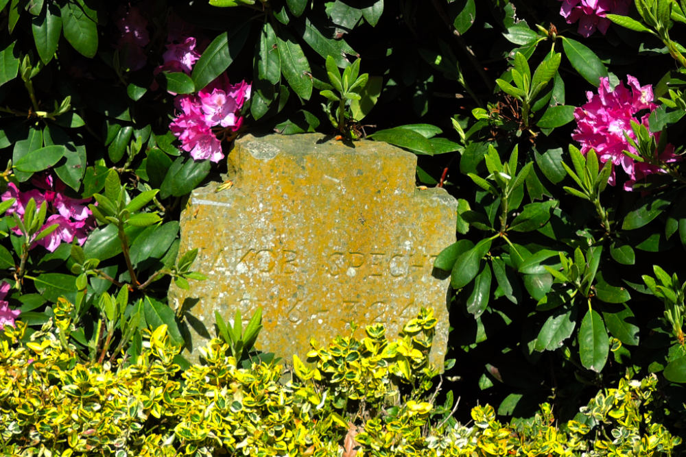 War Memorial And Graves Boisheim #4