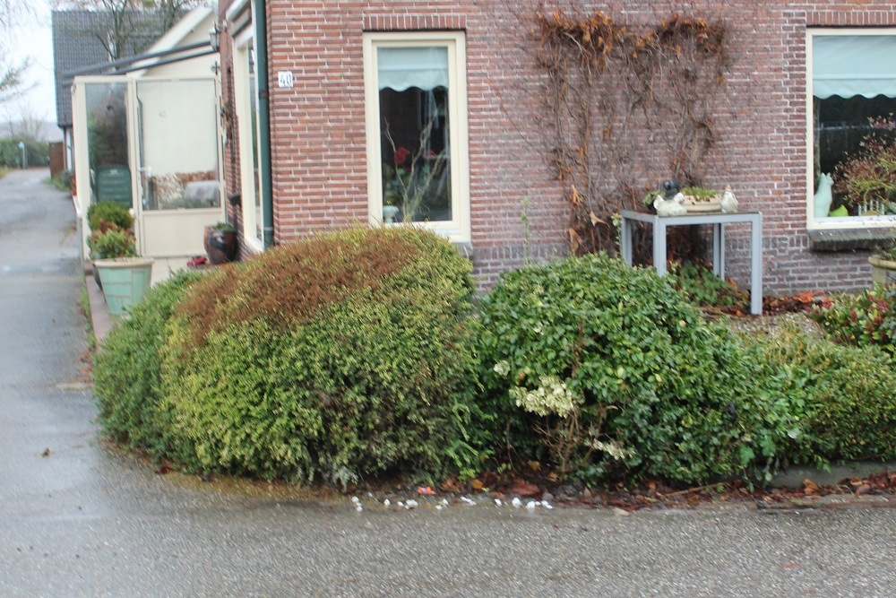 Stumbling Stones Dokter Welfferweg 40 (was Kerkdijk 46) #5