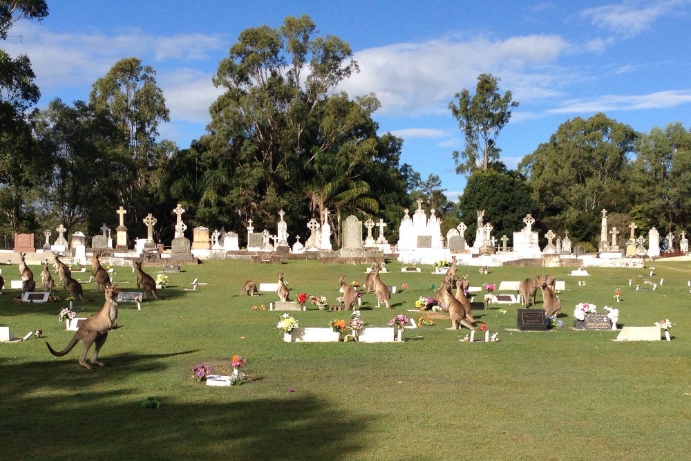 Commonwealth War Graves Gleneagle Roman Catholic Cemetery