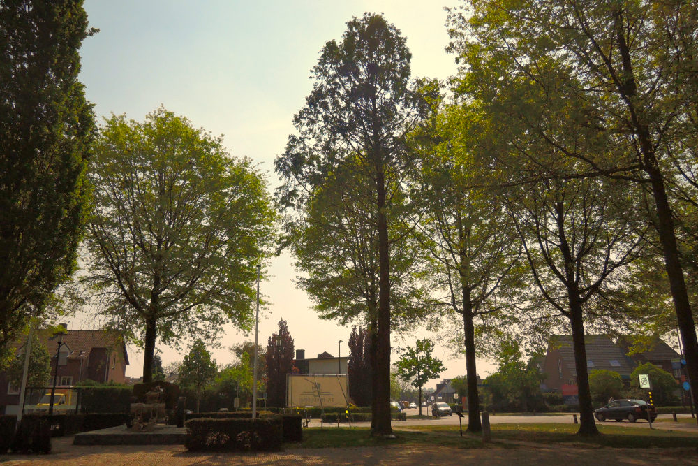 Remembrance Tree Majoor Evans Susteren #2