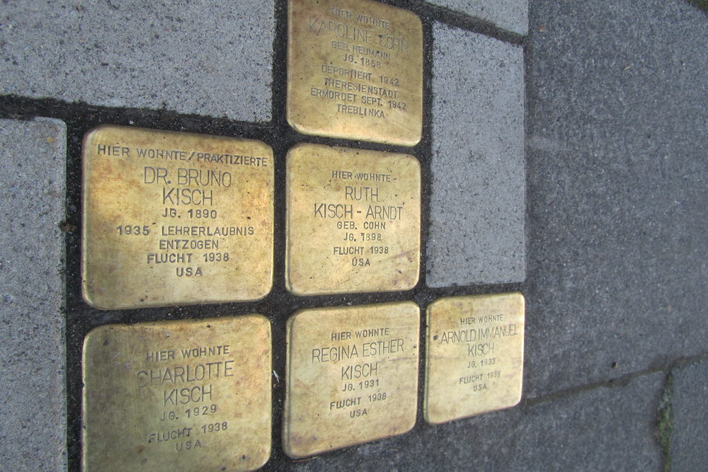 Stolpersteine Kaesenstrae 19 #1