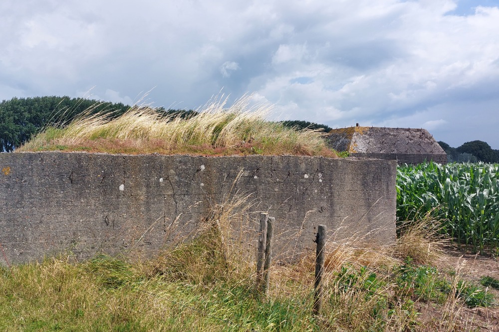 Unfinished Group Shelter Vechten #4