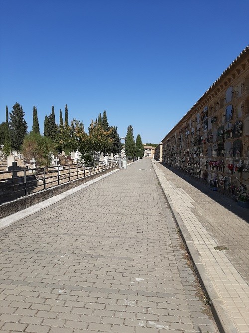 Former Mass Grave Cementerio de Torrero #3