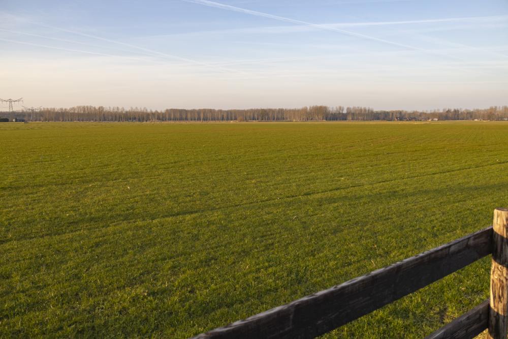 Crashlocatie Supermarine Spitfire PL490