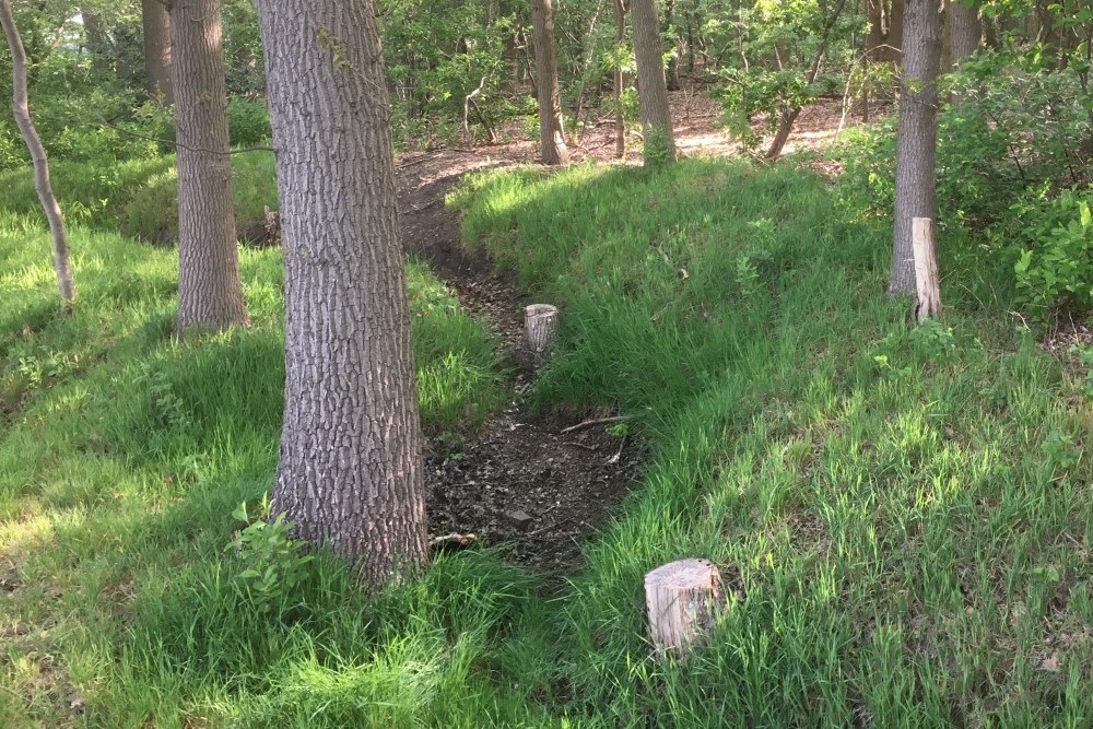 Former German Trenches Berlicum #2