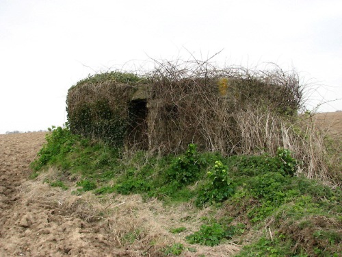Pillbox FW3/24 Bacton #1