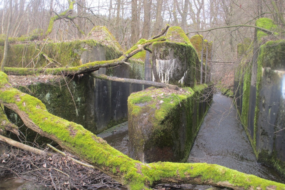 Westwall - Tankversperring #3