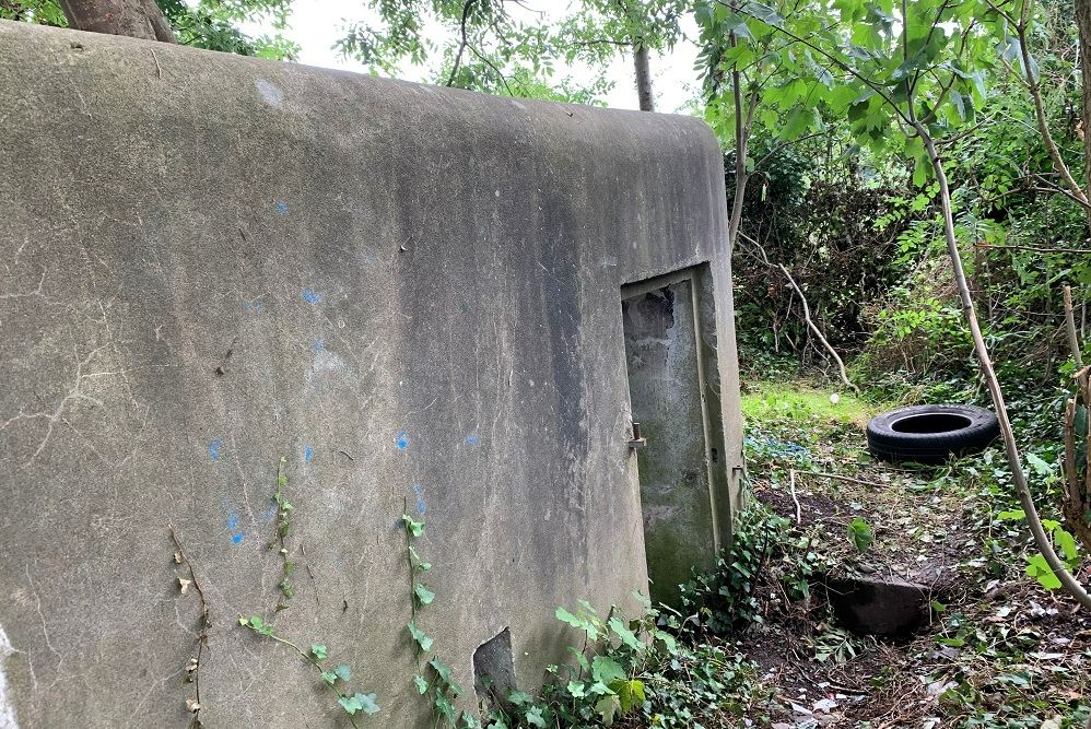 Defense Bunker Vi3 #5