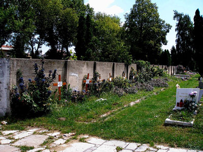 Slovakian War Graves Pieťany #1