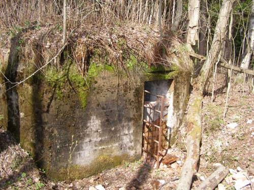 Stalin Line - Casemate No. 55 #3