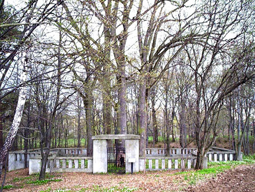 Russian War Cemetery No. 100 #1