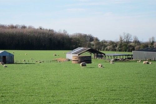 Bunker Stockbury #1