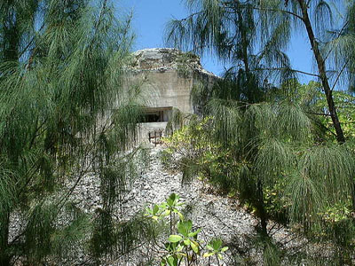 Fortifications Wake Island #1