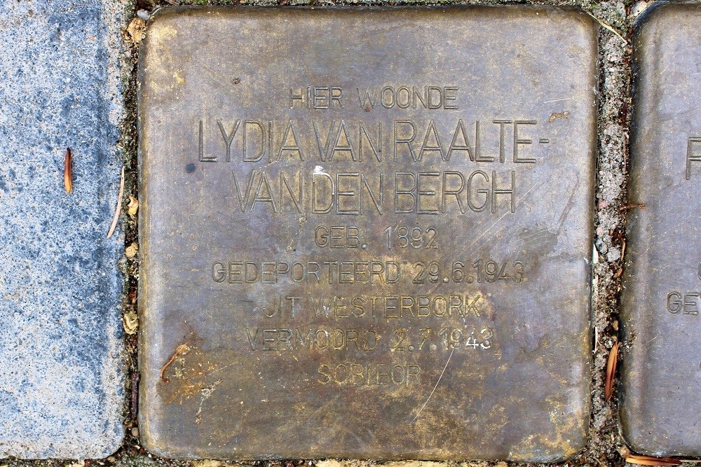 Stolpersteine Van Voorschotenlaan 20 #2